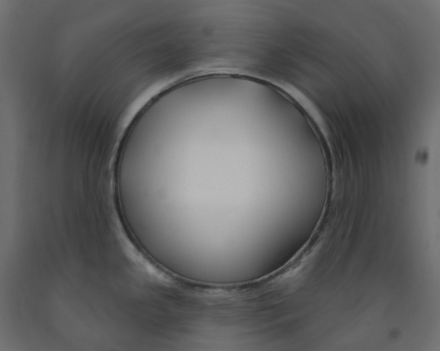 X0000091991341200710041122