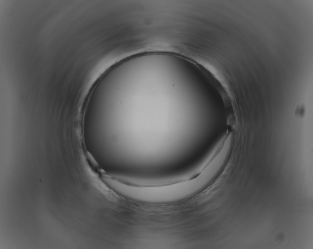 X0000091991342200710041122