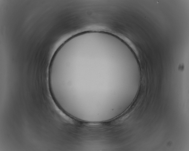 X0000091991343200710041122