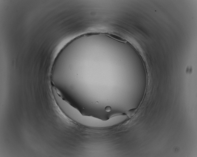 X0000091991344200710041122