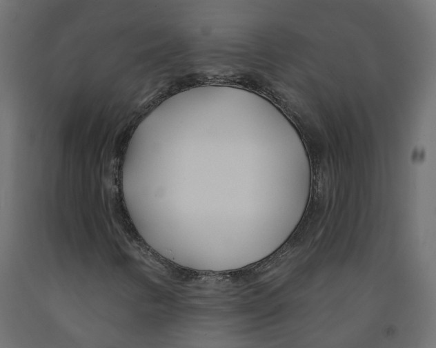 X0000091991346200710041122