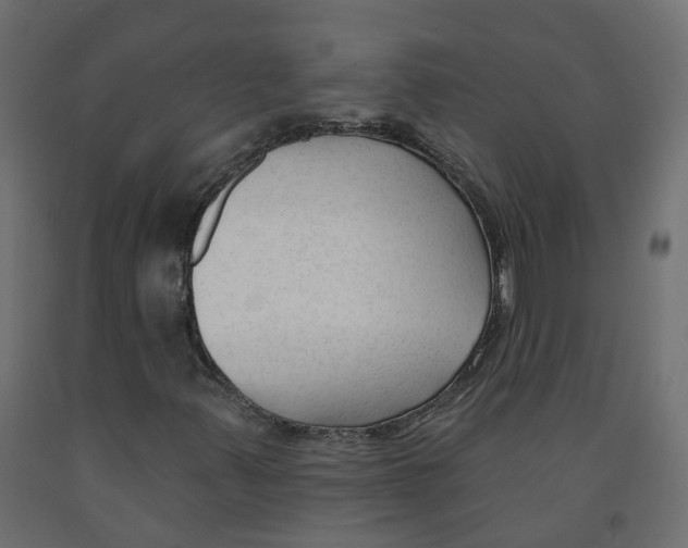 X0000091991347200710041122