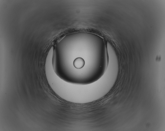 X0000091991348200710041122