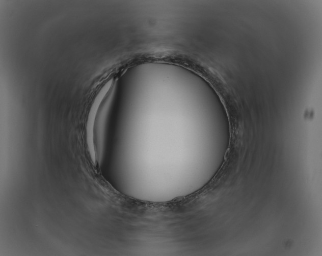 X0000091991349200710041122