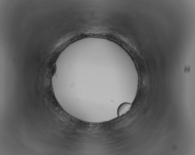 X0000091991350200710041122