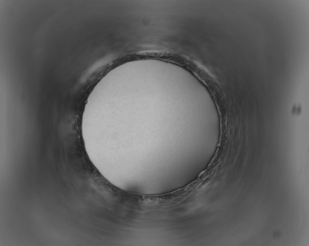 X0000091991351200710041122