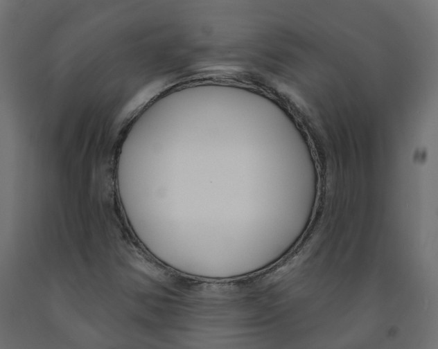 X0000091991354200710041122