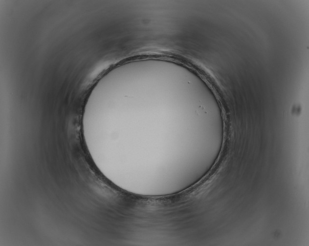 X0000091991355200710041122