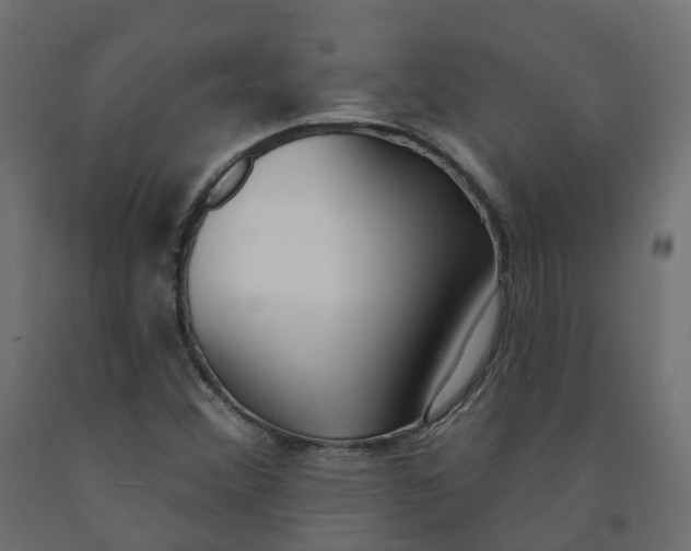 X0000091991356200710041122