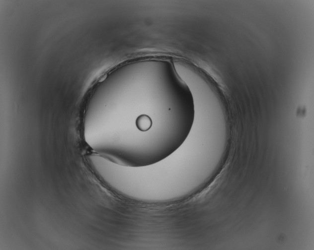 X0000091991357200710041122