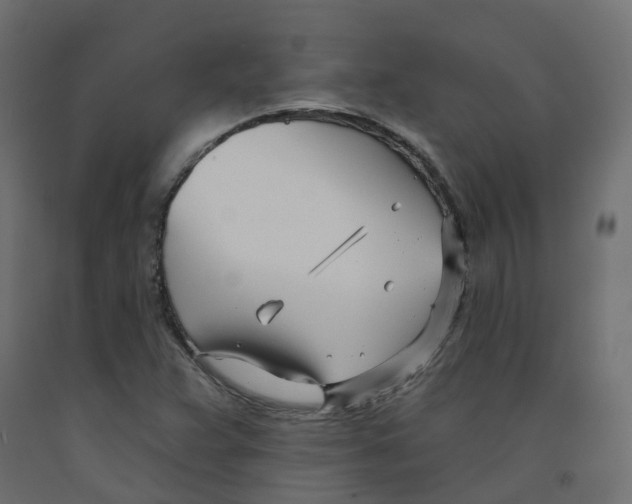 X0000091991359200710041122