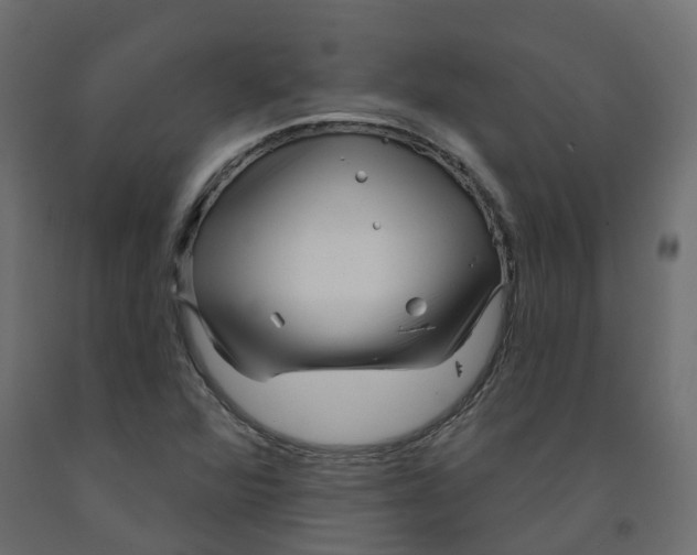 X0000091991360200710041122