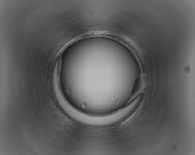 X0000091991361200710041122
