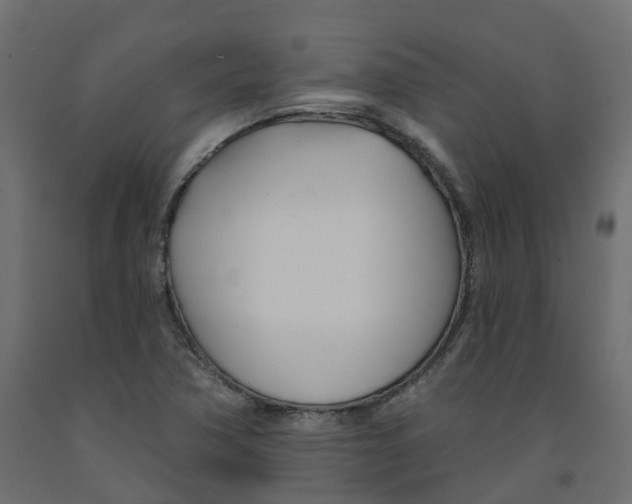 X0000091991362200710041122