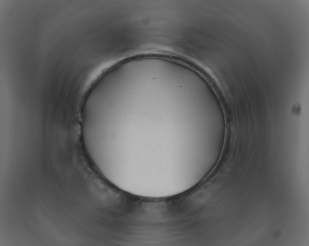 X0000091991363200710041122