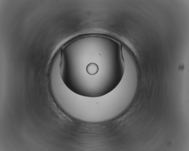 X0000091991364200710041122