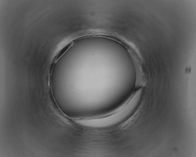 X0000091991365200710041122