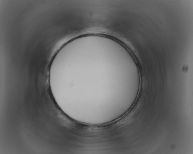 X0000091991366200710041122