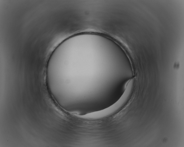 X0000091991367200710041122