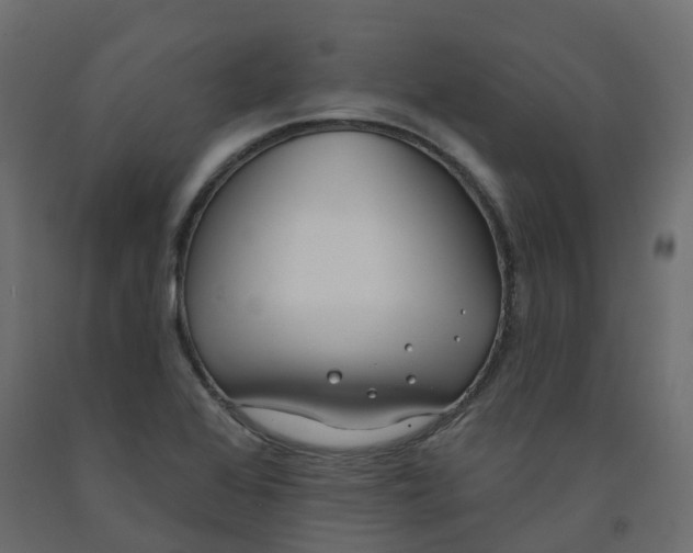 X0000091991368200710041122