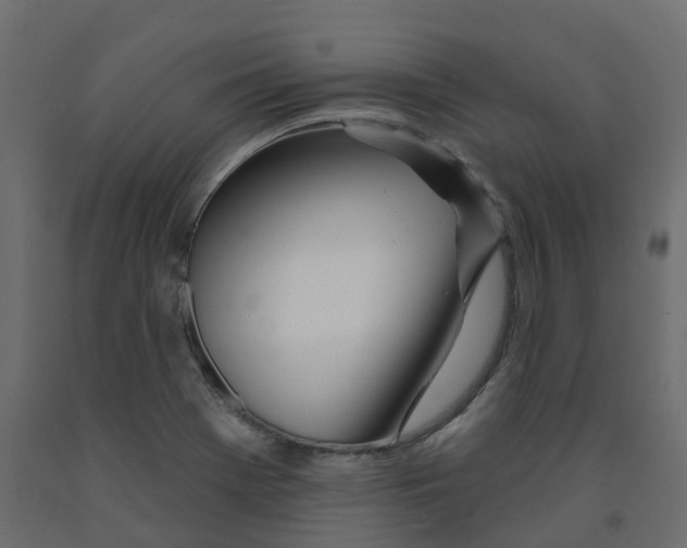 X0000091991369200710041122