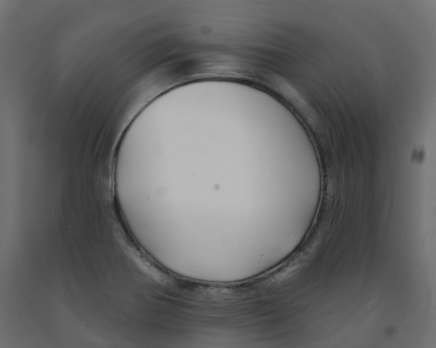 X0000091991370200710041122