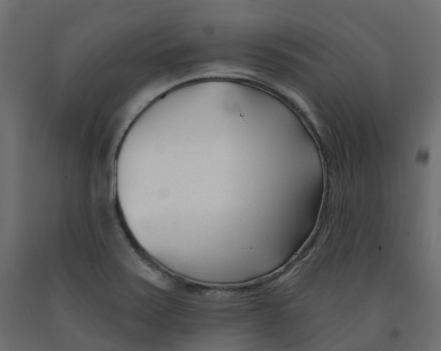 X0000091991371200710041122