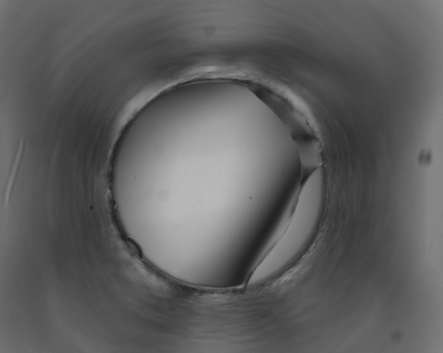 X0000091991373200710041122