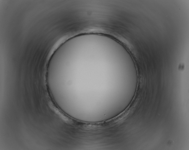 X0000091991374200710041121