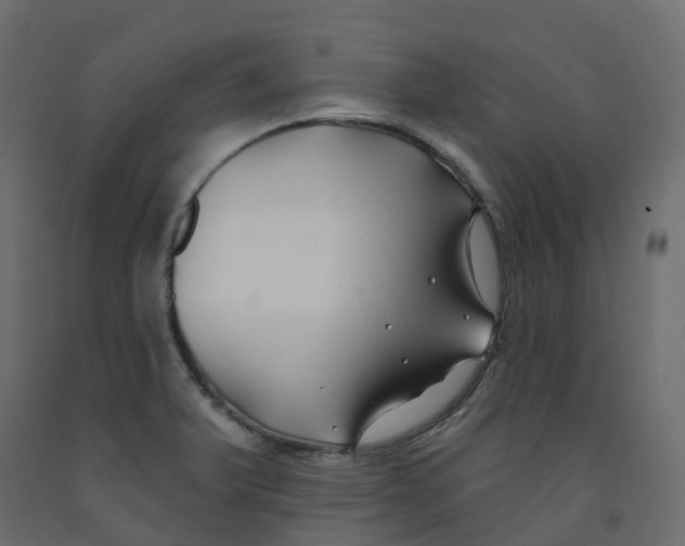 X0000091991375200710041121