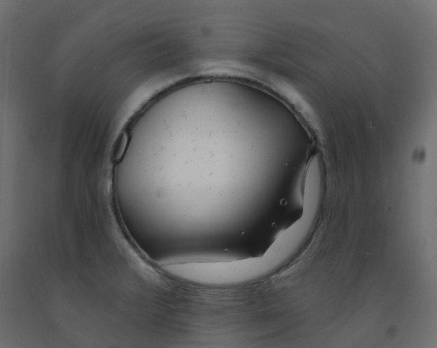 X0000091991376200710041121