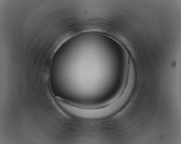 X0000091991377200710041121