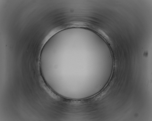 X0000091991378200710041121