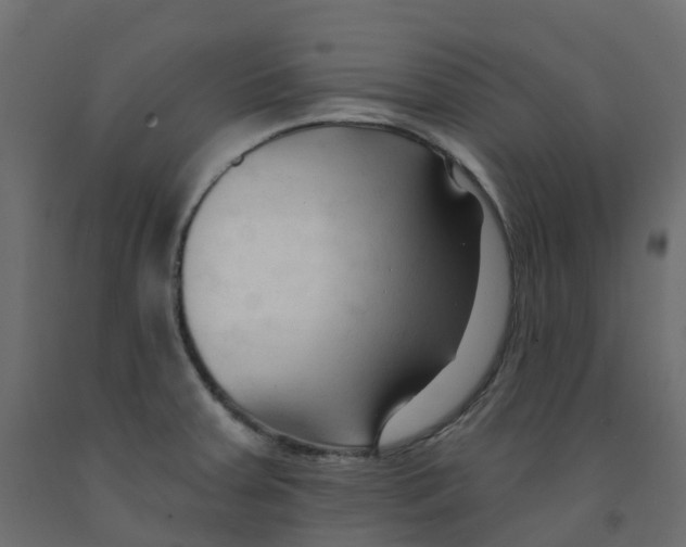 X0000091991379200710041121