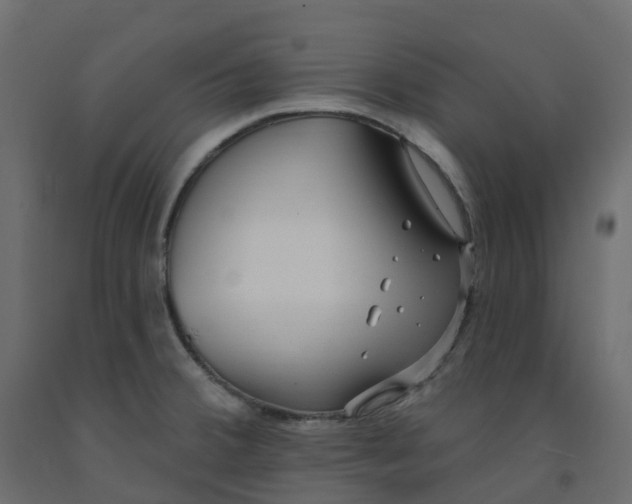 X0000091991380200710041121