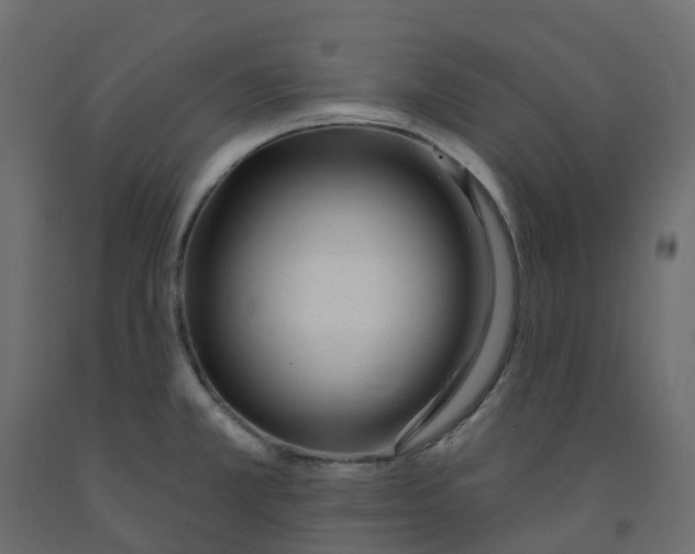 X0000091991381200710041121