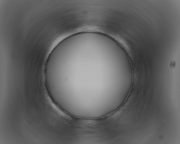 X0000091991382200710041121