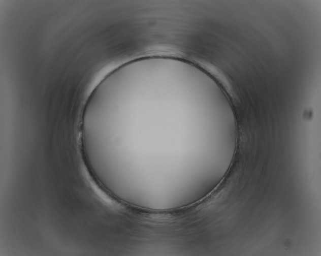 X0000091991383200710041121