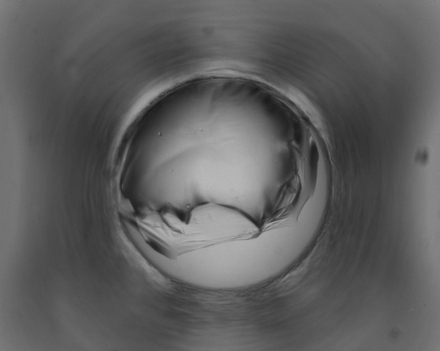 X0000091991384200710041121