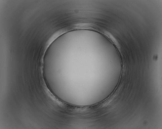 X0000091991386200710041121