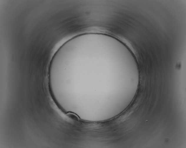 X0000091991387200710041121