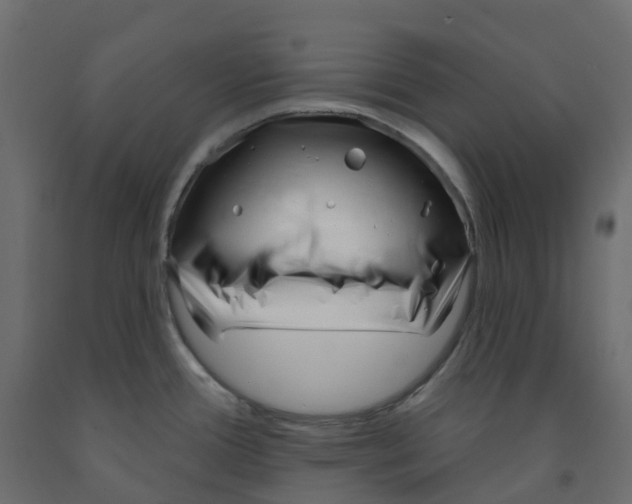 X0000091991388200710041121