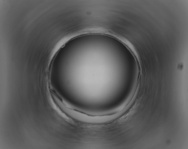 X0000091991389200710041121