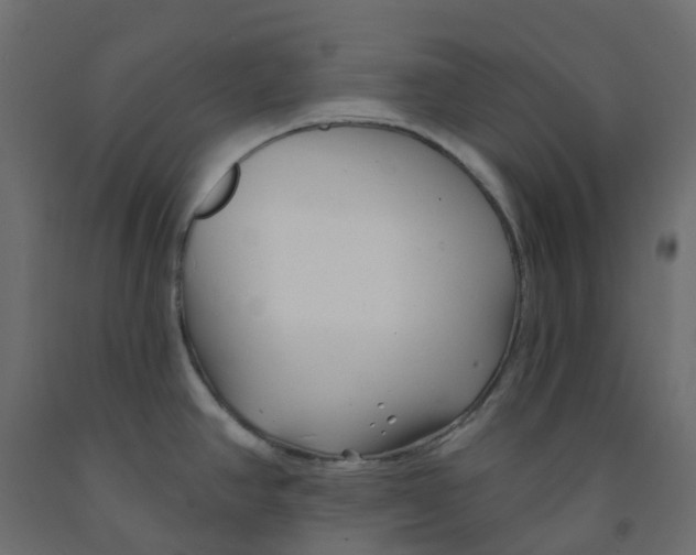 X0000091991390200710041121