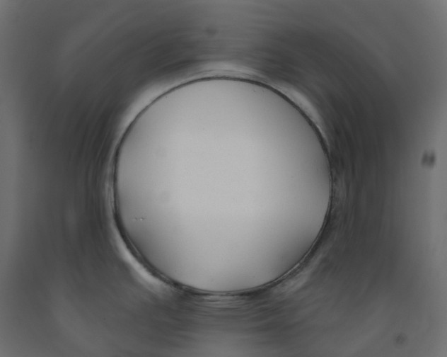 X0000091991391200710041121