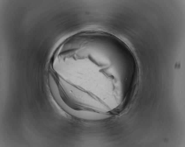 X0000091991392200710041121