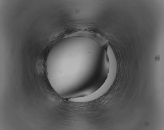 X0000091991394200710041121
