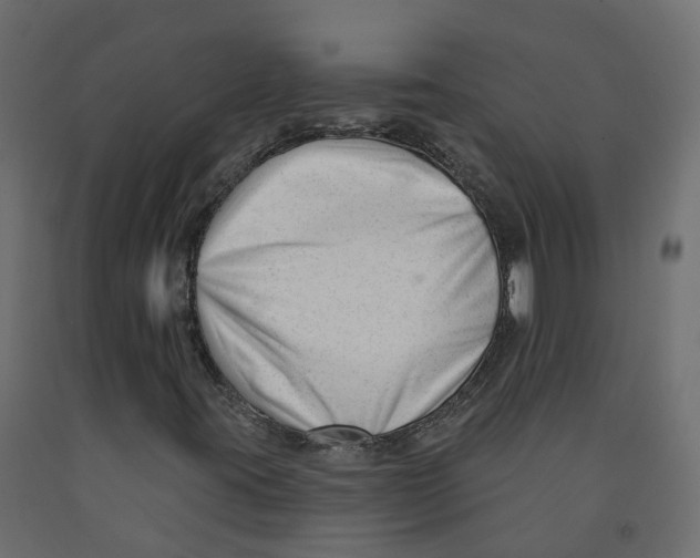 X0000091991395200710041121