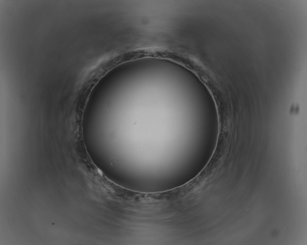 X0000091991398200710041121