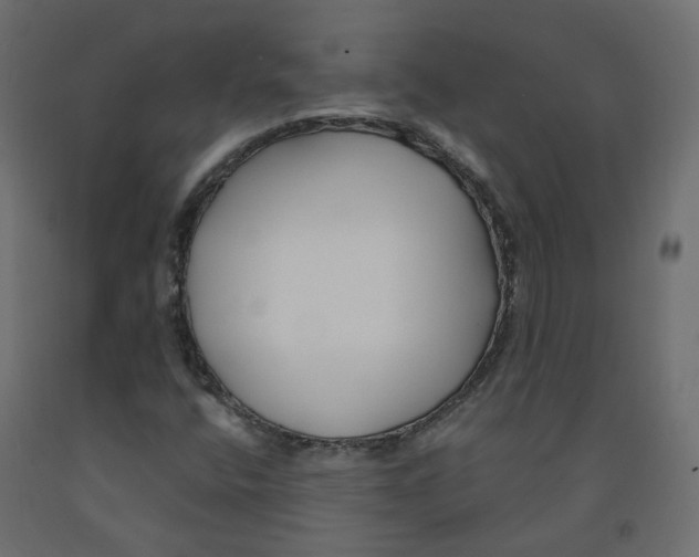 X0000091991400200710041121